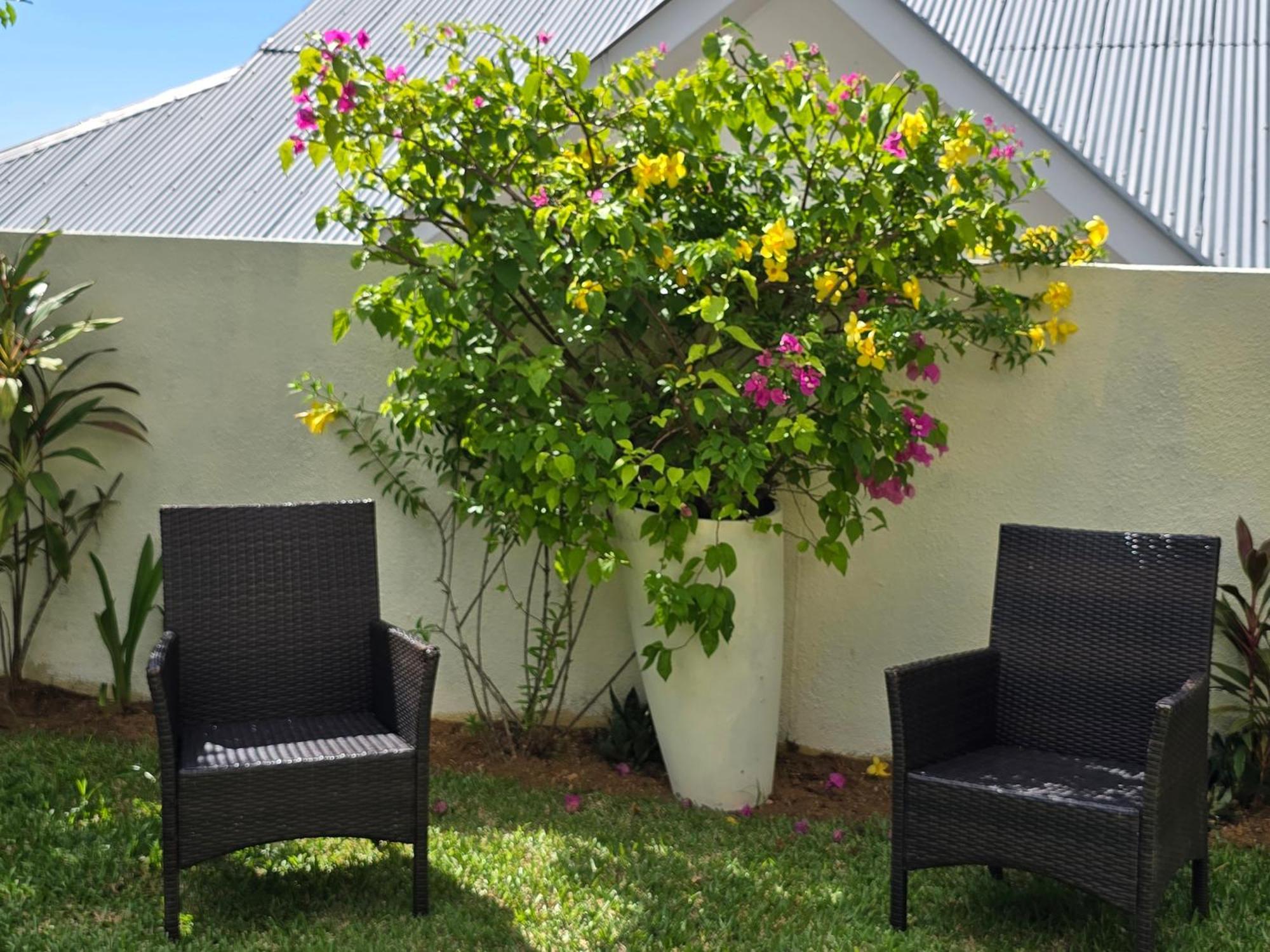 Emma'S Guest House And Self-Catering Au Cap Eksteriør billede